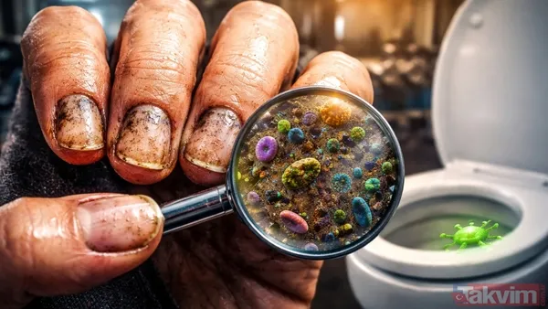 Çarpıcı veri tırnak altından çıktı! Meğer klozetten 10 kat daha kirliymiş - 1