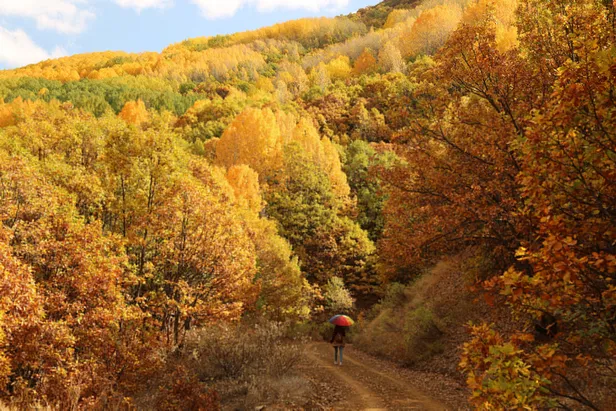 sonbahar-mevsimi-2021-ne-zaman-basliyor-bitiyor-sonbahar-mevsimi-ozellikleri-tarihleri-sonbahar-googleda-doodle-oldu-1632284155089.jpg Sonbahar Mevsimi özellikleri, tarihleri! Sonbahar Mevsimi 2021 ne zaman başlıyor, bitiyor? Sonbahar Google'da Doodle oldu!-5