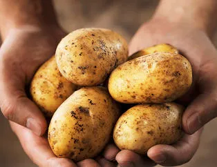 Patates yemek zararlı mı?