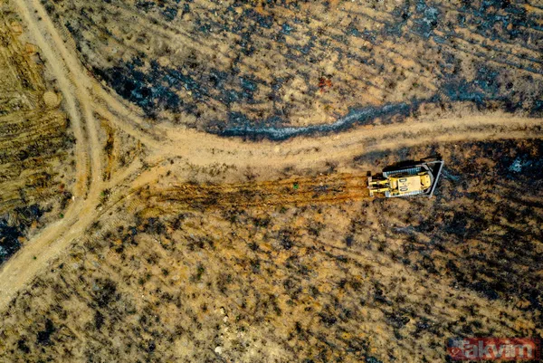 Yanan ormanlar ne olacak? Ağaçlandırma çalışması sonbaharda başlayacak - 19