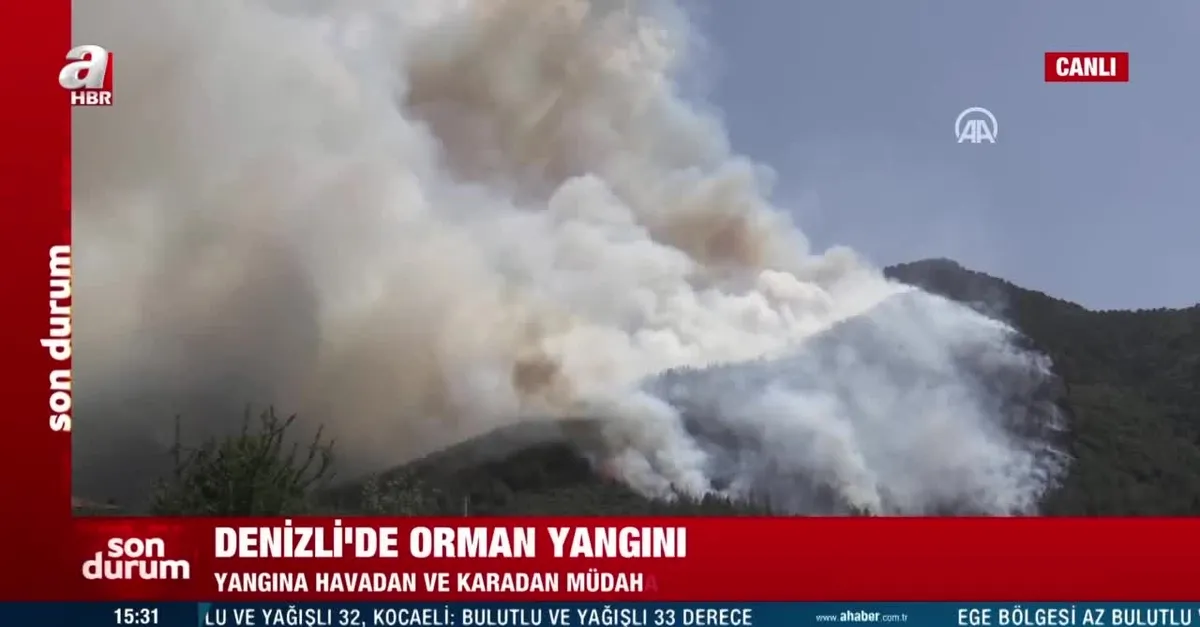 Marmaris'ten sonra Denizli'de de yangın!
