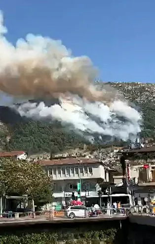Hatay'da ormanlık alanda yangın! Çok sayıda ekip bölgede