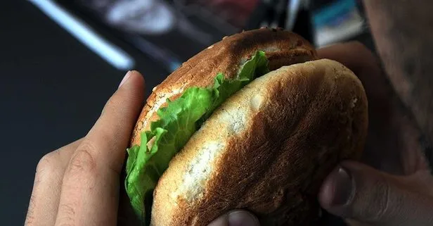 Hamburger kanser eder