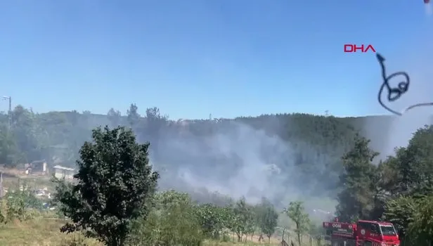 Beykoz'da orman yangını: Çok sayıda ekip sevk edildi!