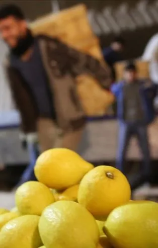 Limon üreticisinden marketlere "fiyat" tepkisi