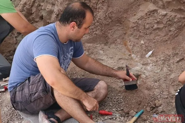 Çankırı'da 8,5 milyon yıllık fosil bulundu! - 13