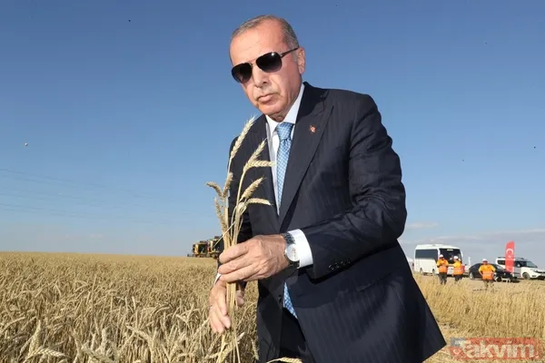Başkan Erdoğan biçerdöverde buğday hasatı yaptı - 30
