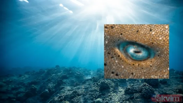 Mavi bir göl mü? Kimse ilk bakışta anlamıyor! Bu görüntü aslında ölümcül bir gerçeği saklıyor… - 1