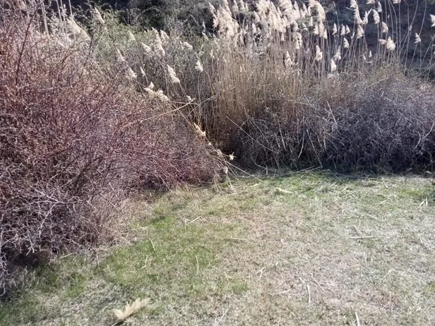 Ankara’da kan donduran olay! Kafası koparılmış 45 günlük ceset bulundu-5