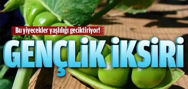 Gençlik iksiri 14 yiyecek