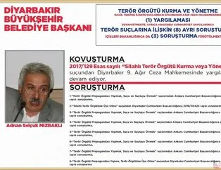 Mardin, Diyarbakır, Van belediye başkanı kim?