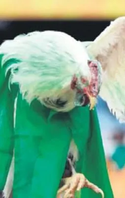 Dünya Kupası günlüğü