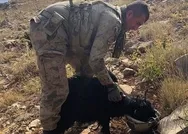 Yıldırım-11 Herekol Operasyonunda görevli bir Mehmetçik dağda susuz kalan oğlağa miğferinden su içirdi