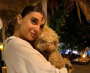 AK Parti’den Pınar Gültekin açıklaması