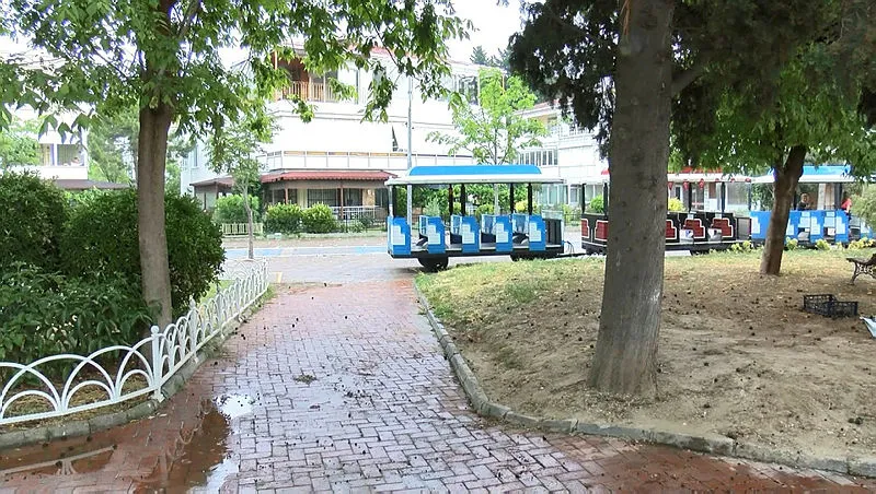 İstanbul'da yaşlı adama yıldırım çarptı - 3