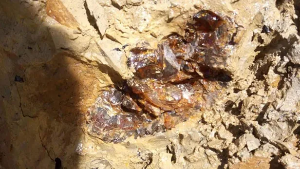 500-milyon-tonu-asan-muhtesem-kesif-1-gramini-bile-bulan-turnayi-gozunden-vuruyor-1698999964201.jpg 500 milyon tonu aşan muhteşem keşif gerçekleştirildi! 1 gramına bile denk gelen yaşıyor-4