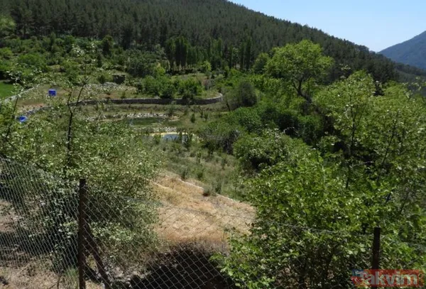 Cenk Tosun paraya kıydı iç dekorasyonun maliyeti de evin fiyatı kadar! Eşi ne isterse onu yaptırıyor işte 'Tosun Paşa'nın sarayı... - 46