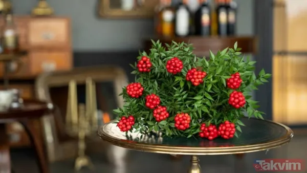 Kokina buketi suya konulur mu, nasıl saklanır? Bu püf noktayla evde ilk günkü gibi kalıyor - 3