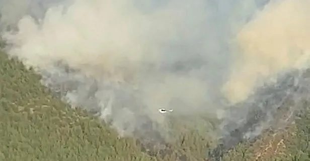 Balıkesir Susurluk’taki orman yangını kontrol altına alındı