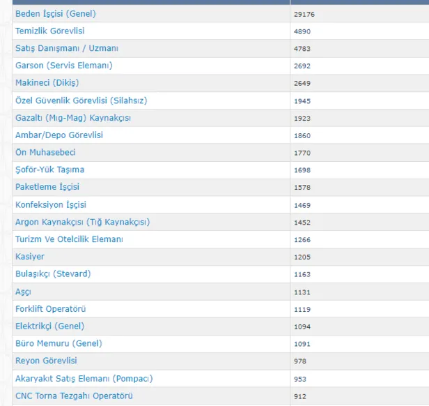 KPSS şartlı şartsız en az 11.400 TL maaşla 139.515 bin personel alınacak! İŞKUR 2023 Temmuz ayı ilanlarıı geldi! İşte kadrolar-3