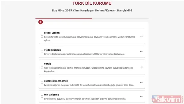 Tek bir kelime koca yılı anlatacak! TDK duyurdu: 2025’in kelimesi için oylama başladı - 2