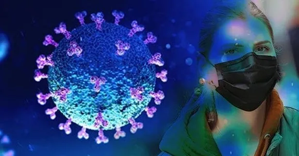 Son dakika: Dünyayı umutlandıran haber! Koronavirüsü lama antikorları etkisiz hale getiriyor!