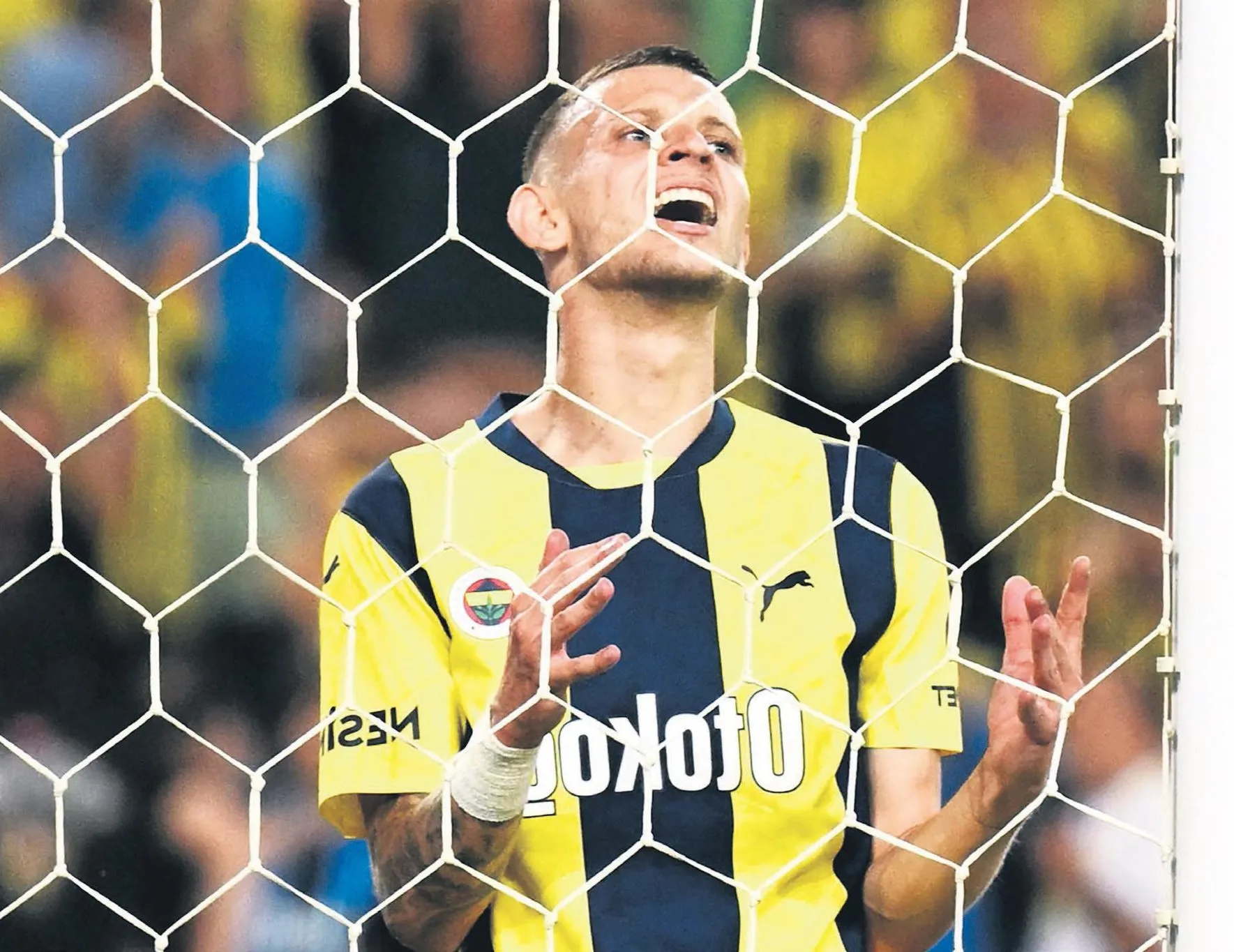 Ne arayan var ne soran!