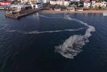 Kınalıada'da müsilaj istilası!