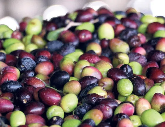 123 ülkeye ihracatı yapıldı!