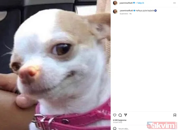 Yasemin Şefkatli karnı burnunda paylaştı kendisini ti'ye almayı da ihmal etmedi! İkizlerin isimi konusunda herkesi kandırmışlardı - 11