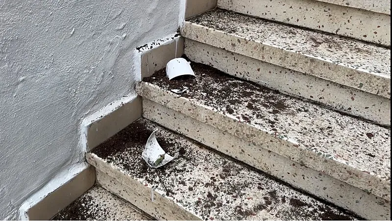 Eşini korumak için saldırgan ev sahibine saksı fırlattı (DHA)