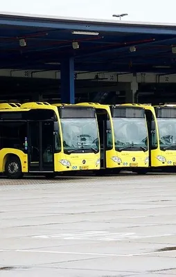Hollanda'da otobüs şoförleri grevde