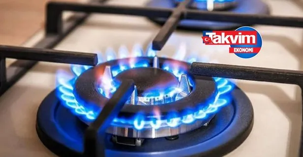 Doğal gaz desteği başvurusu nasıl yapılır e-Devlet?