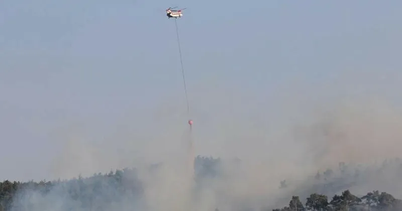 Orman Yangını (AJANSLAR)