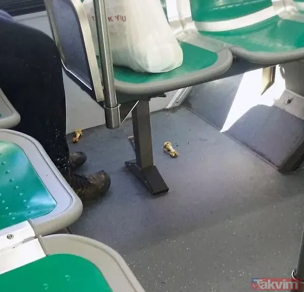Ne tepki umrunda ne de görgü kuralları! 'İnsanlar rahatsız olur mu' demedi pantolonu indirdi! Otobüste öyle bir şey yaptı ki - 43