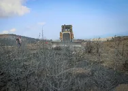 Hatayda yanan ormanlık alanları ağaçlandırmak için çalışma başlatıldı