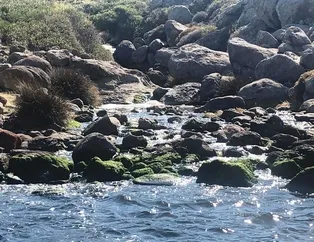 CHP’li belediyede içler acısı görüntü!