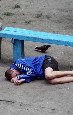 10 yıl boyunca aynı bankta yaşananları fotoğrafladı