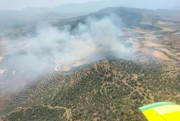 İzmir’de tarlada çıkan yangın, ormana sıçradı