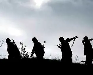 Hain örgüt yol kesip polis kaçırdı