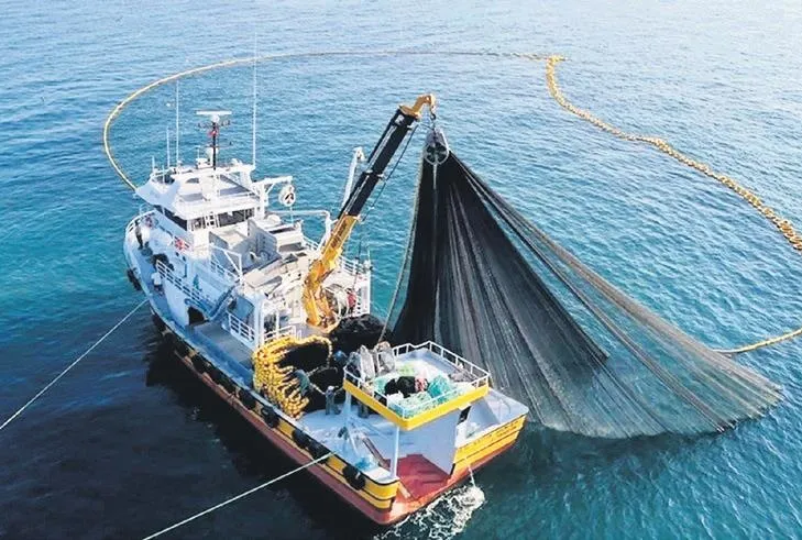 Kutuplarda krill avı