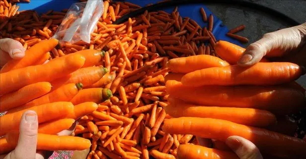 Turuncunun gücü!