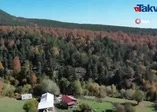 Yedigöller’de sonbahar güzelliği