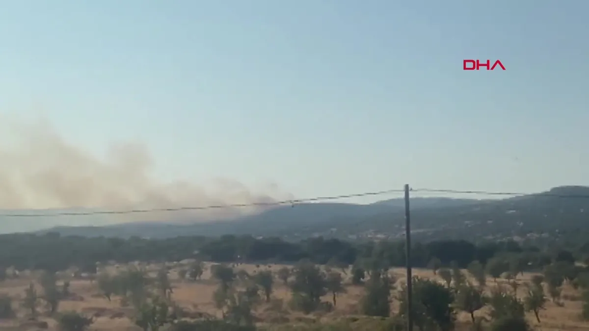 Çanakkale Ayvacık'ta orman yangını!