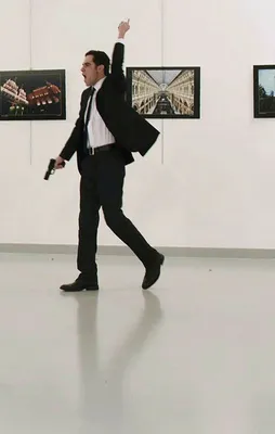 Karlov suikastinin bilinmeyenleri