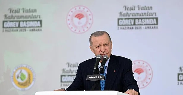 Başkan Erdoğan'dan orman yangınlarına karşı uyarı: Bu 3 durumda ateş yakmayın