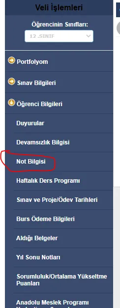 2020-2021-meb-karne-notlari-ogrenme-vbs-giris-e-okul-veli-bilgilendirme-giris-sayfasi-vbs-1-donem-karne-sorgulama-1611212663886.png