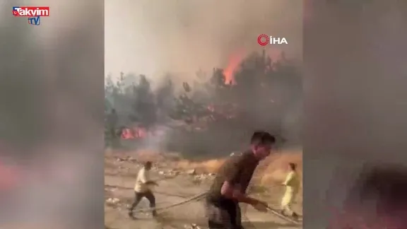 Karabük Eflani'de orman yangını - Video