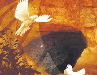 Yaşayan her canlıya karşı merhametli olun