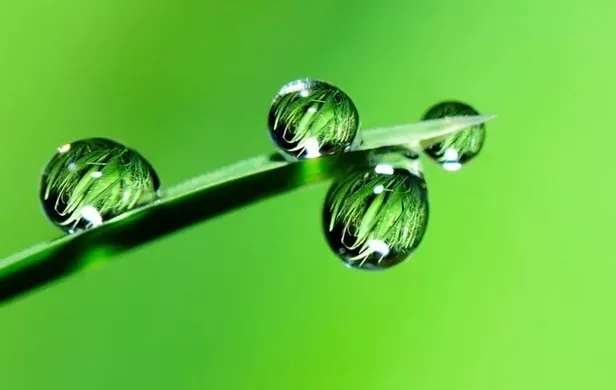 ruyada-yesil-renk-gormek-ne-anlama-gelir-neye-isarettir-ruyada-yesil-elbise-giymenin-anlami-yorumu-1656252212041.jpeg Rüyada yeşil elbise giymenin anlamı, yorumu - Rüyada yeşil renk görmek ne anlama gelir, neye işarettir?-4